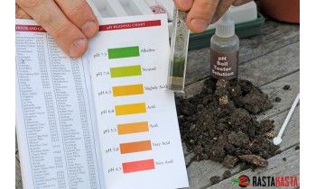 Правила подготовки почвы для выращивания конопли на улице